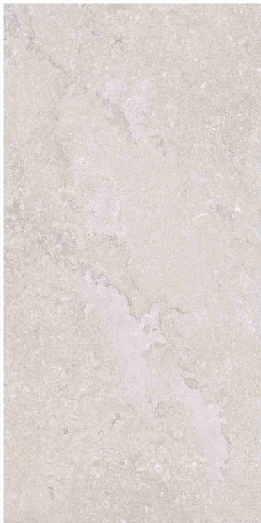 OL Port Land Stone Greige Matte 12 x 24